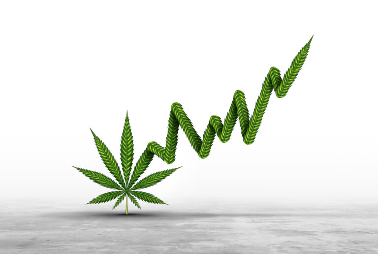 Data Maturity in Vertically Integrated U.S. Cannabis Businesses