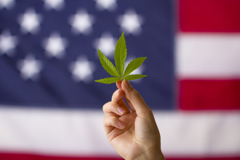 The True Cost of Dispensary Labor: A Sales-Per-Hour Breakdown | CannaHub
